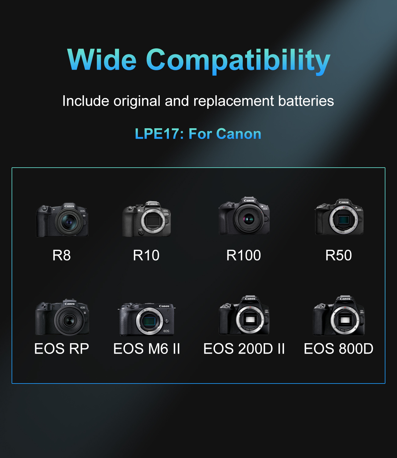 Caricabatterie doppio slot PD  - Canon Camera Eos R8 recensione e prezzo